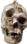 dumbskull