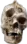 dumbskull