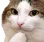 ThinkCat