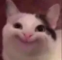 BelugaSmise