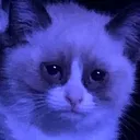 despair