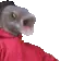 fishpog