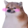 cheemsblush