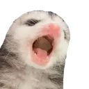 ahhhhhhhhhhhhhhhhhhhhhhhhhhhhhhh