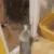 catjump
