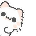 KittyPeek