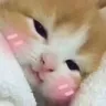 hehe hehe