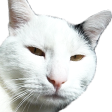 fixxFlips Discord emoji