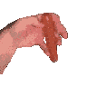 762325750430171206