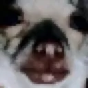 iwilleatyoursoul