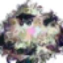 hdflr