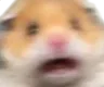 shock