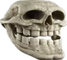 TrollSkull2 Discord Emoji