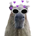 Capylovebird