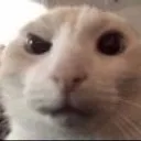emoji_61