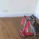 A raccoon stands on its hind legs to ride a small pink scooter across a wooden floor.