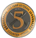 8178_CSGO5YearVeteranCoin