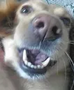 happy