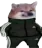 nu_a_xule