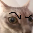 que