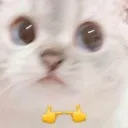 NanaShy
