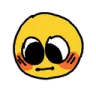Niceshy