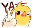 yahbuddy yahbuddy