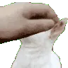 gg