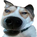 keplerinsanity