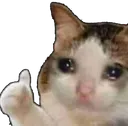 Cat Thumbs Up catthumbsup Discord Emoji