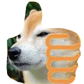 memesthumbsup memesthumbsup