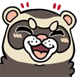 ferretYAY