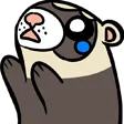 ferretWANT