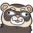 ferretDERP