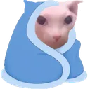 bingusblanket