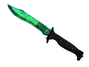 9a81dlWLwJ2UUGcVs_nsVtzdOEdtWwKG