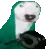 dogpan dogpan