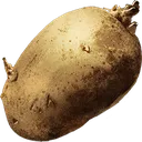 Potato