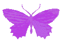 purplebutterfly2 Discord Emoji
