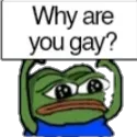 whyareyouGayyy