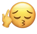 800651256921718864