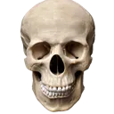 BRO