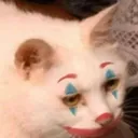 CatClown