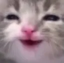 eee eee