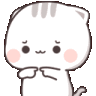 US_emojicat2plith Discord emoji