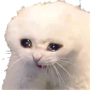 sad_cat Discord Emoji