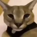 fino