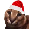 floppa_santa