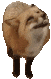 fox Discord emoji