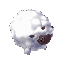 pkde_0831_wolly_wooloo_roll Discord emoji